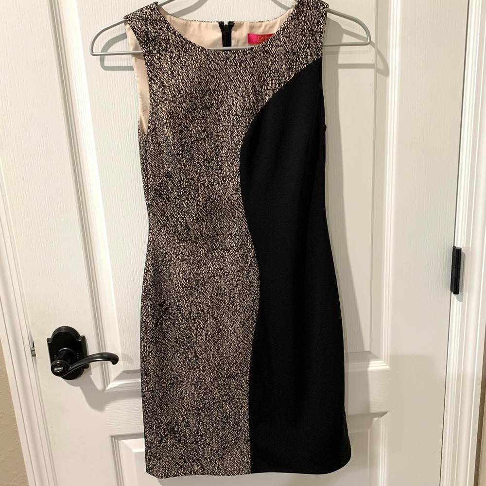 Catherine Malandrino Split Colorblock Sleeveless Sheath Dress Sz 2